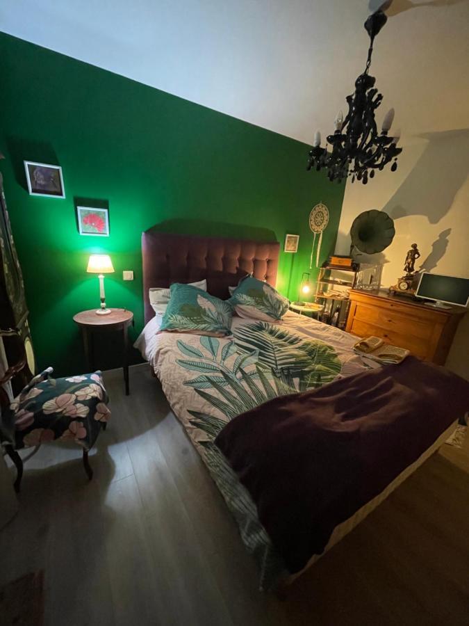 Duud Apartment Castanet-Tolosan ภายนอก รูปภาพ