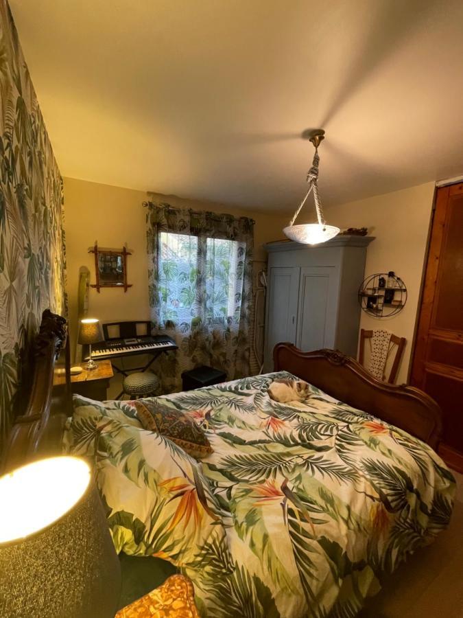 Duud Apartment Castanet-Tolosan ภายนอก รูปภาพ